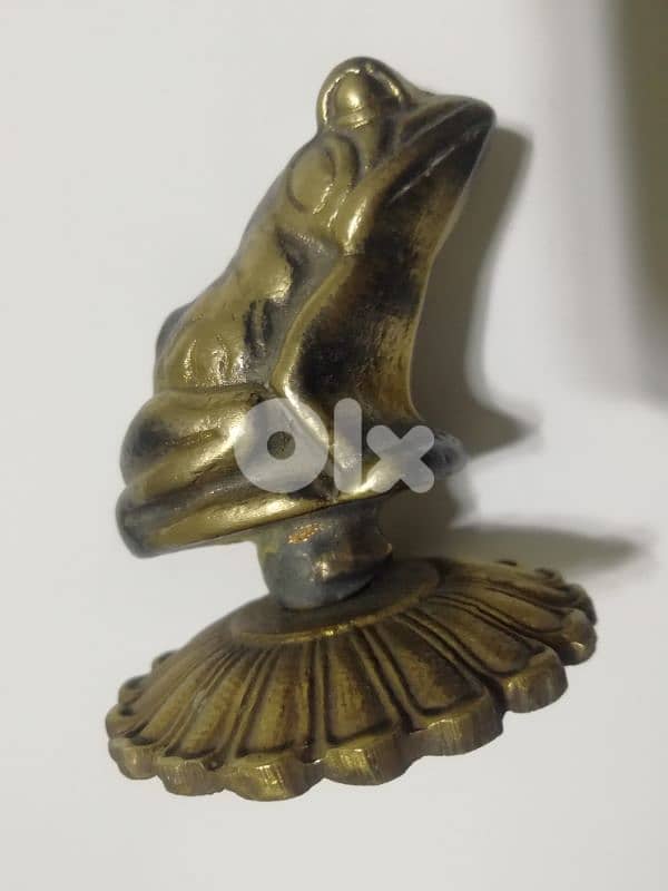 ضفدع نحاسي 1