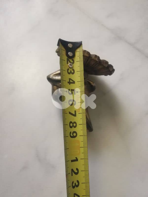 ضفدع نحاسي 2