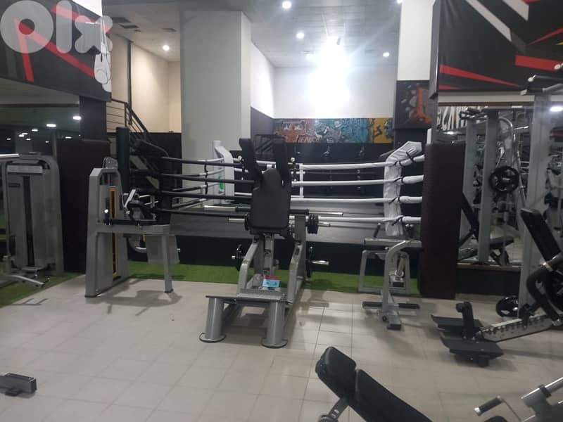 treadmills and Gym Equipment 2