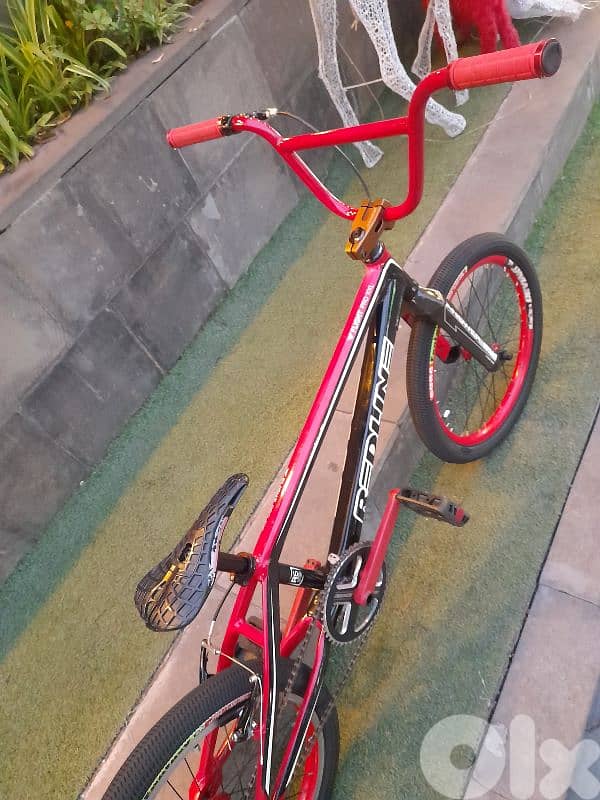 cety bike 15