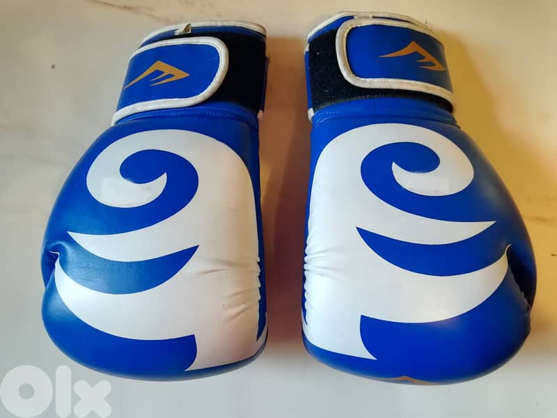 Boxing Everlast gloves made in Pakistan 2
