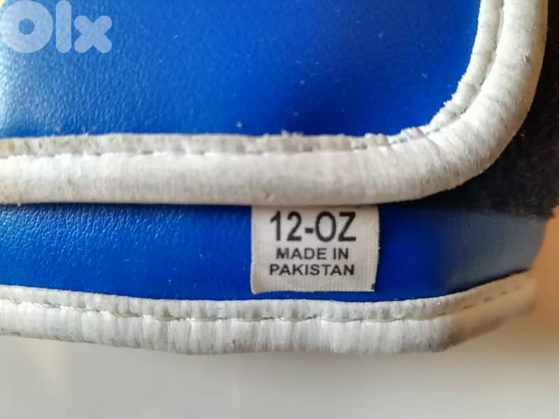 Boxing Everlast gloves made in Pakistan 3