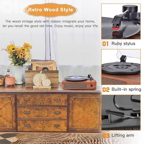 Vinyl Record Player 2