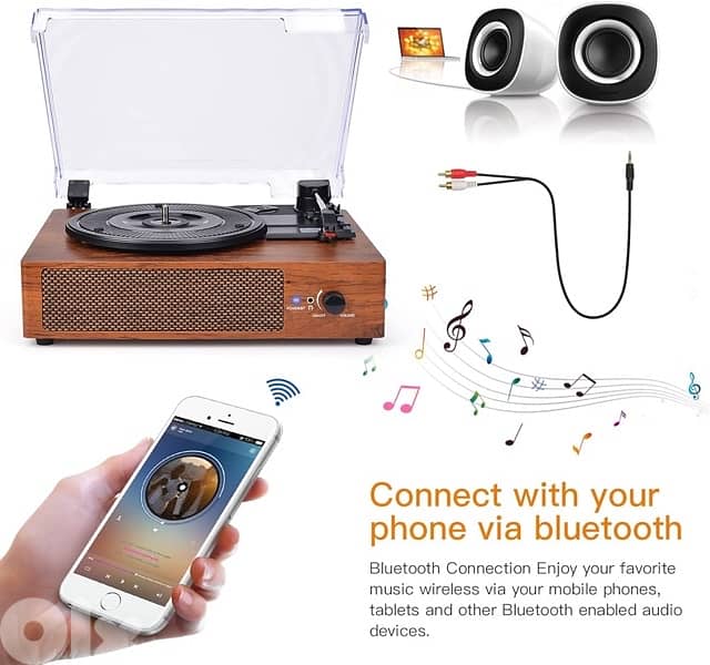 Vinyl Record Player 3