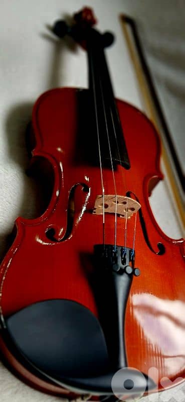 violin 3/4 1
