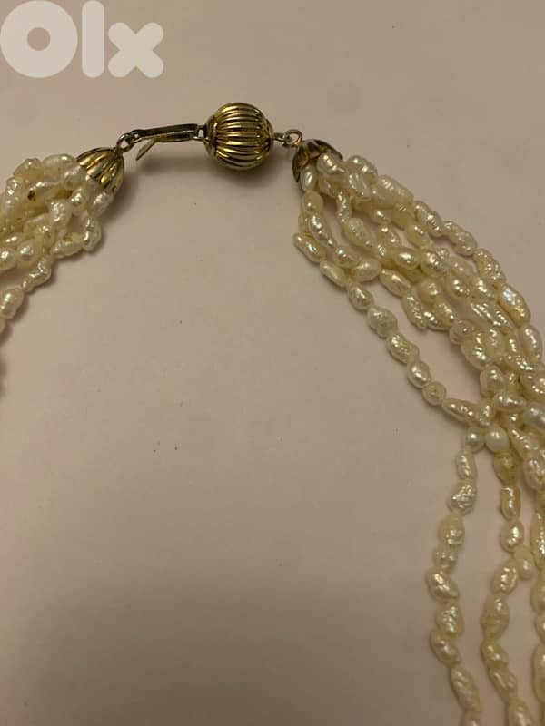 سنسال لولو 1