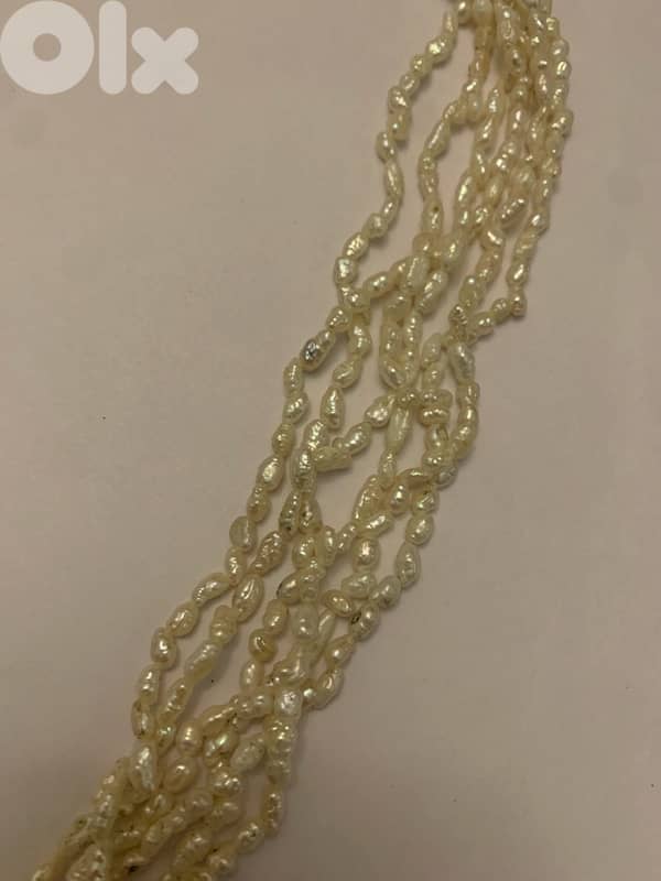 سنسال لولو 2