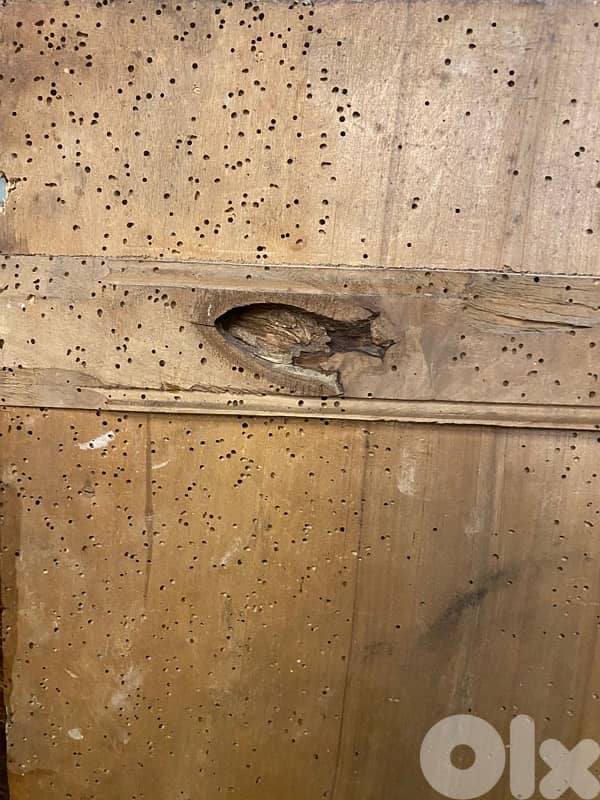 antique rare big Russian icon of the life of St Elijah 19th century 11