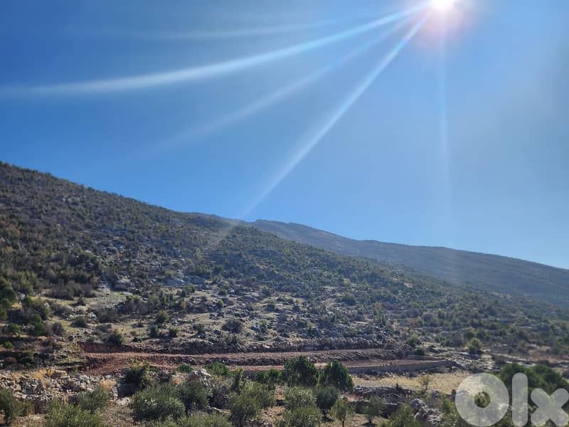 أرض للبيع او التبديل land for sale or trade 1