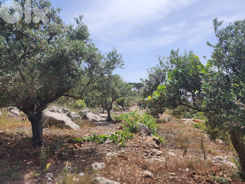 أرض للبيع او التبديل land for sale or trade 11