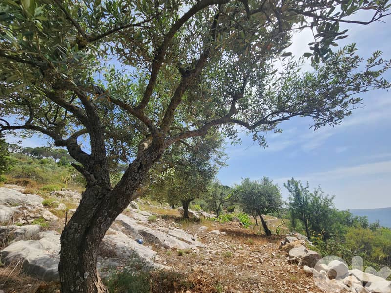 أرض للبيع او التبديل land for sale or trade 12