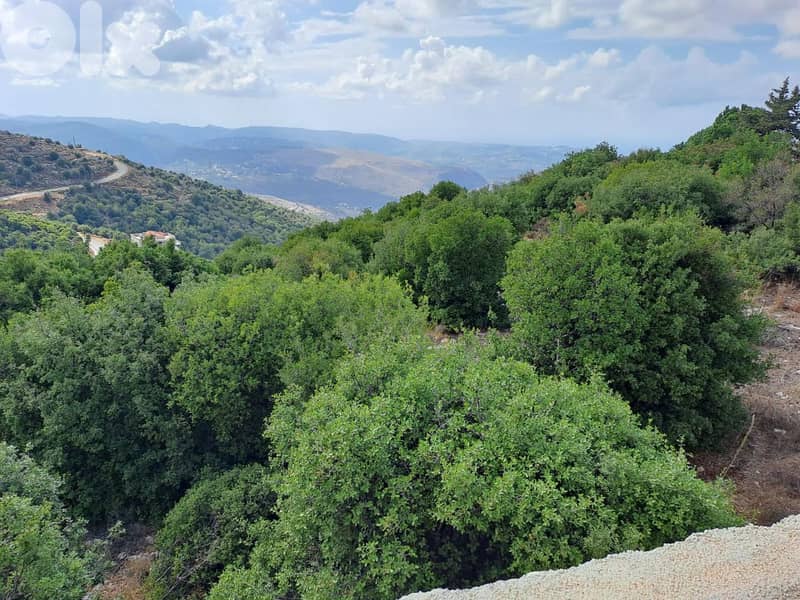 RWB115DL - Land for sale in Derbella - Chnata Batroun 1