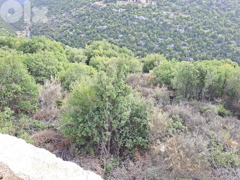 RWB115DL - Land for sale in Derbella - Chnata Batroun 2