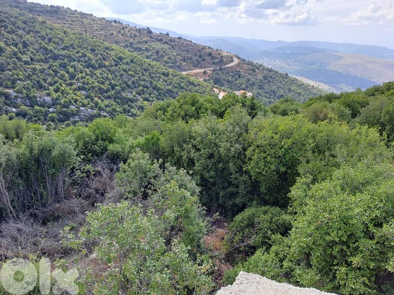 RWB115DL - Land for sale in Derbella - Chnata Batroun 3