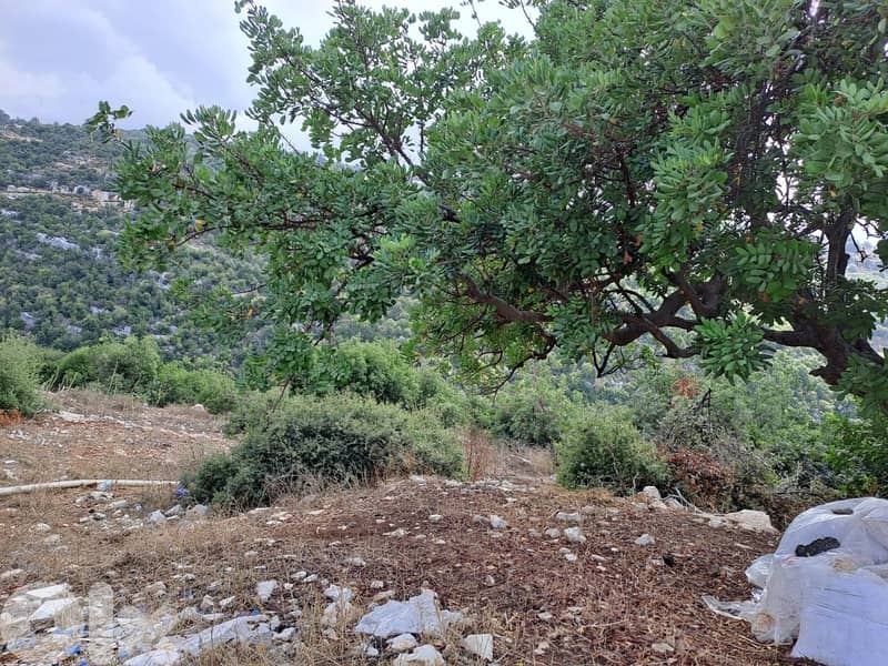 RWB115DL - Land for sale in Derbella - Chnata Batroun 4