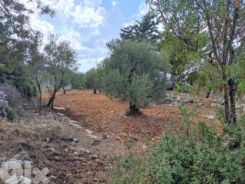 RWB115DL - Land for sale in Derbella - Chnata Batroun 5