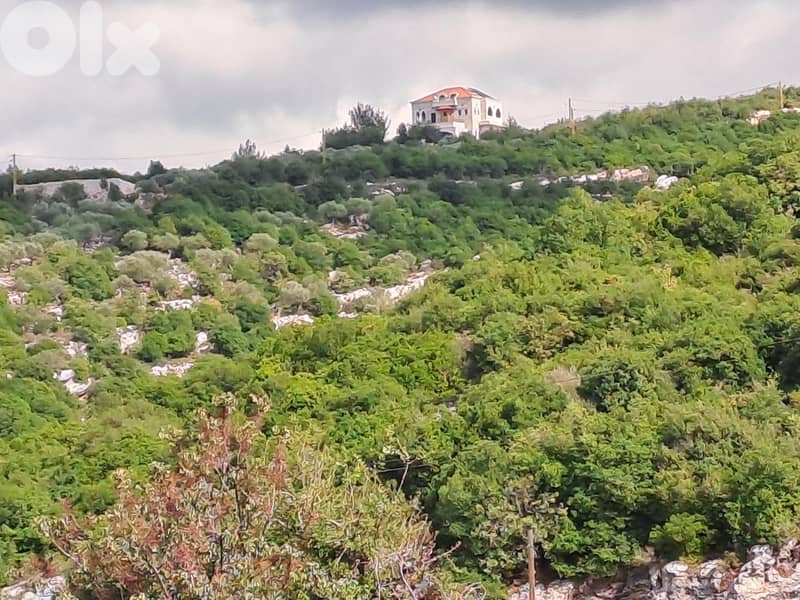 RWB115DL - Land for sale in Derbella - Chnata Batroun 6