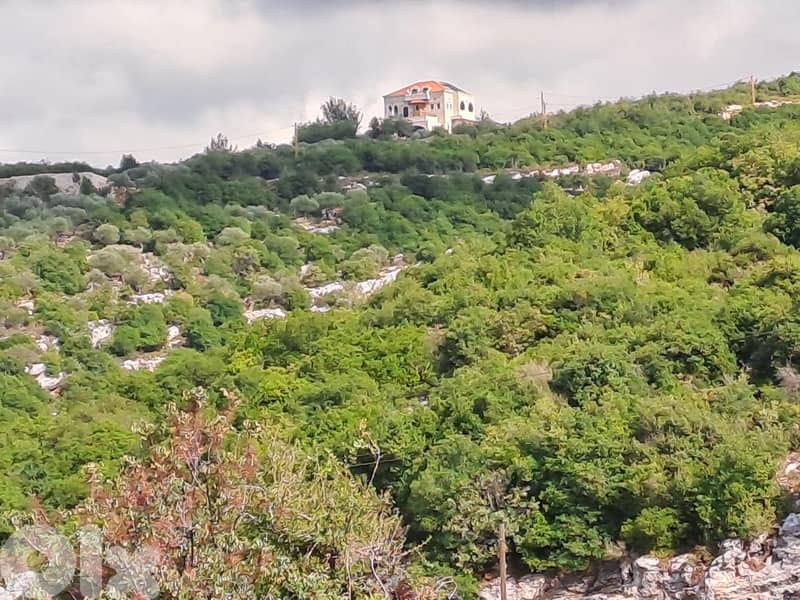 RWB115DL - Land for sale in Derbella - Chnata Batroun 7