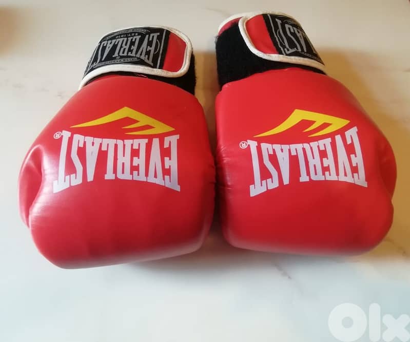 Everlast boxing gloves 10 oz 0