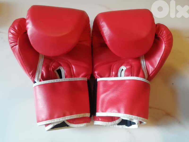 Everlast boxing gloves 10 oz 1