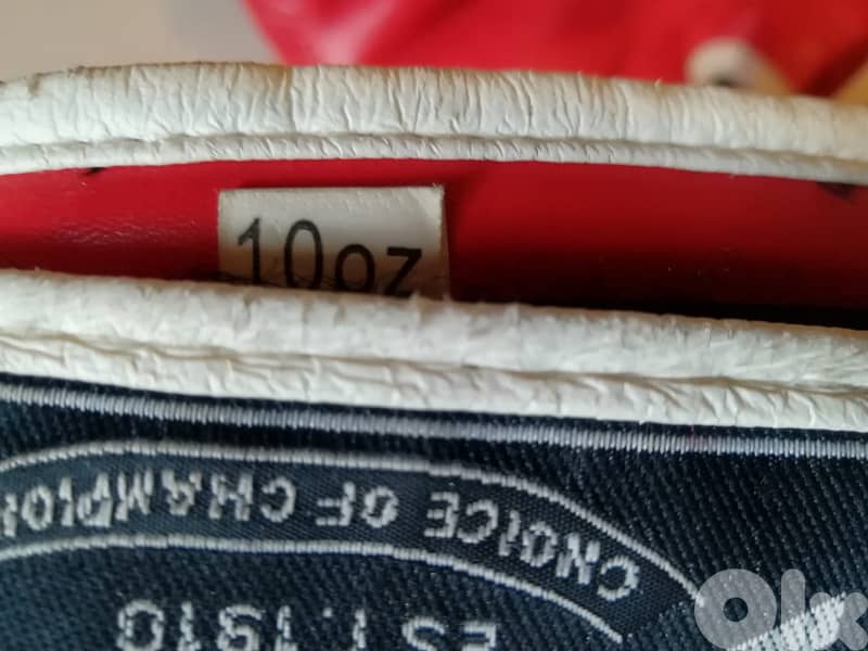 Everlast boxing gloves 10 oz 2