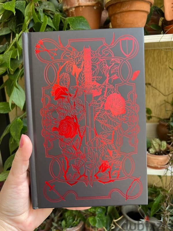 Special Edition Book - A Broken Blade 2