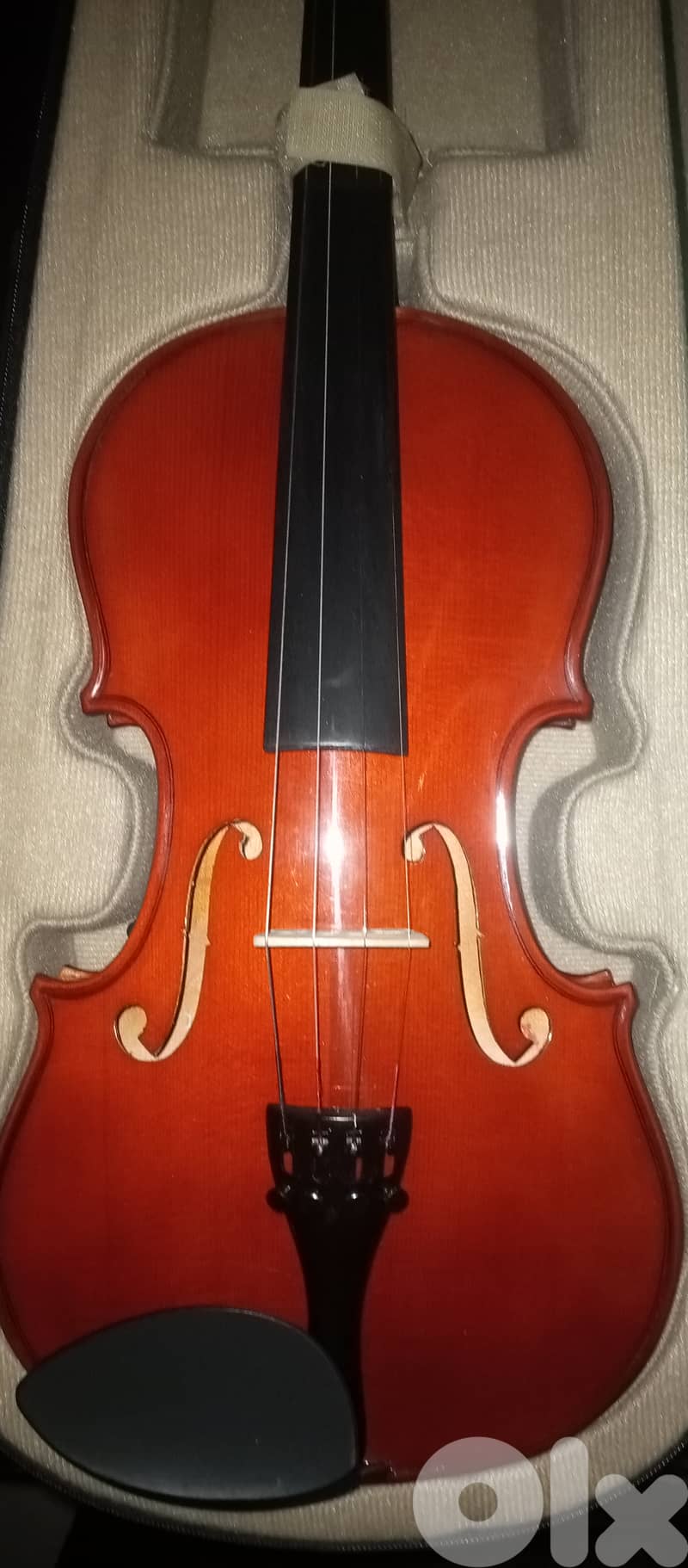 Violin 3