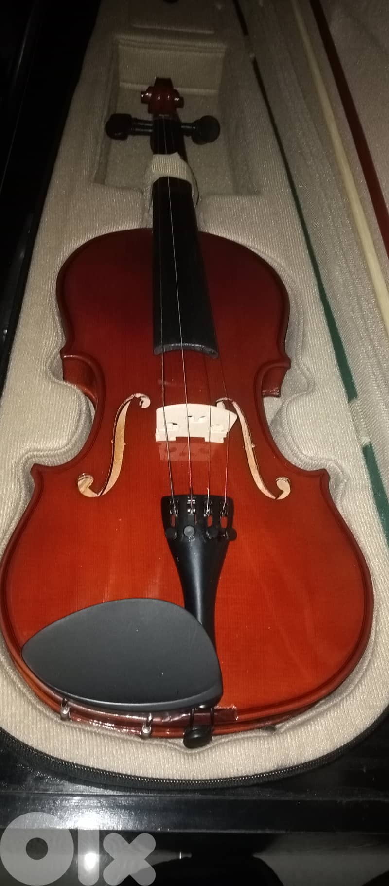 Violin 4
