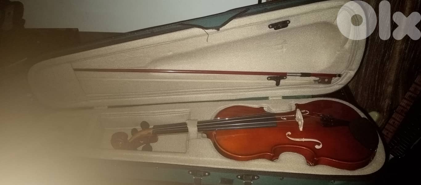 Violin 5