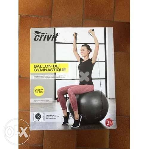 Crivit Gym Ball Made in Germany 2