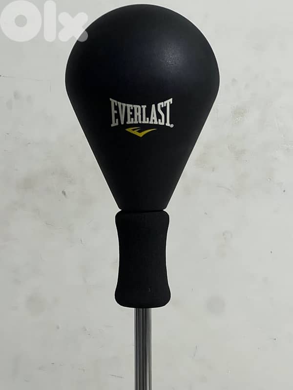 home gym body building 1