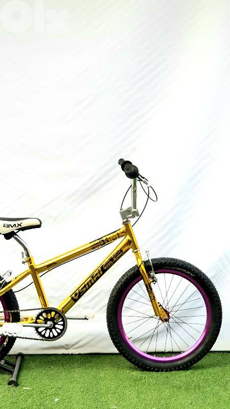 bmx 20 bike new 1