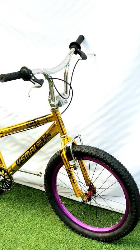 bmx 20 bike new 3