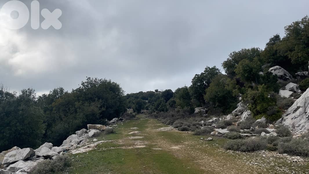 RWB217CA - Land for sale in Lehfed Jbeil 5