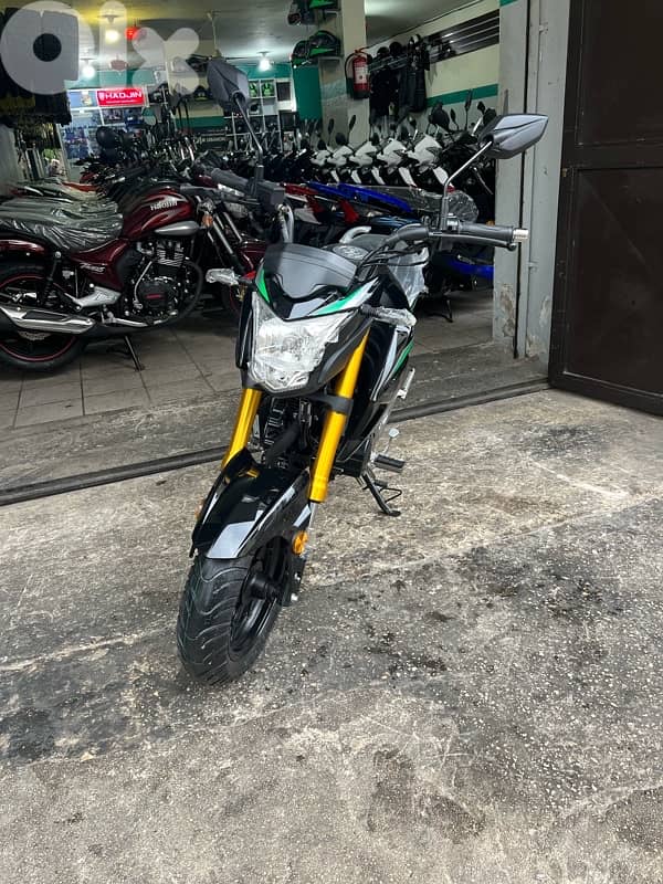 DAYANG SPORT 150 3