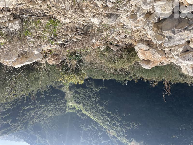 RWB221CA - Land for sale in Eddeh Jbeil 0