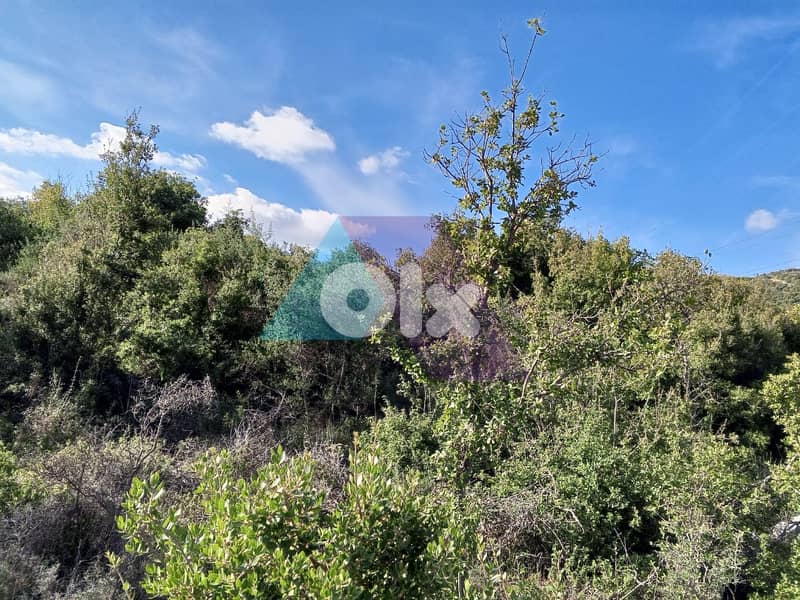Land +MountainView 4 Sale in Assia-Batroun | أرض للبيع في أسيا-البترون 2