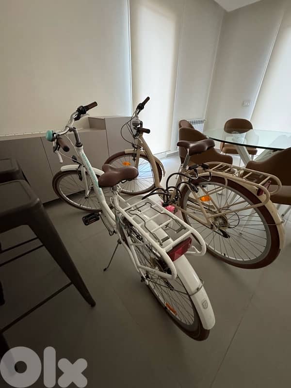 Amsterdam Bicycle Le Grand 3