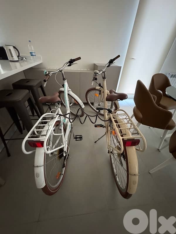 Amsterdam Bicycle Le Grand 4