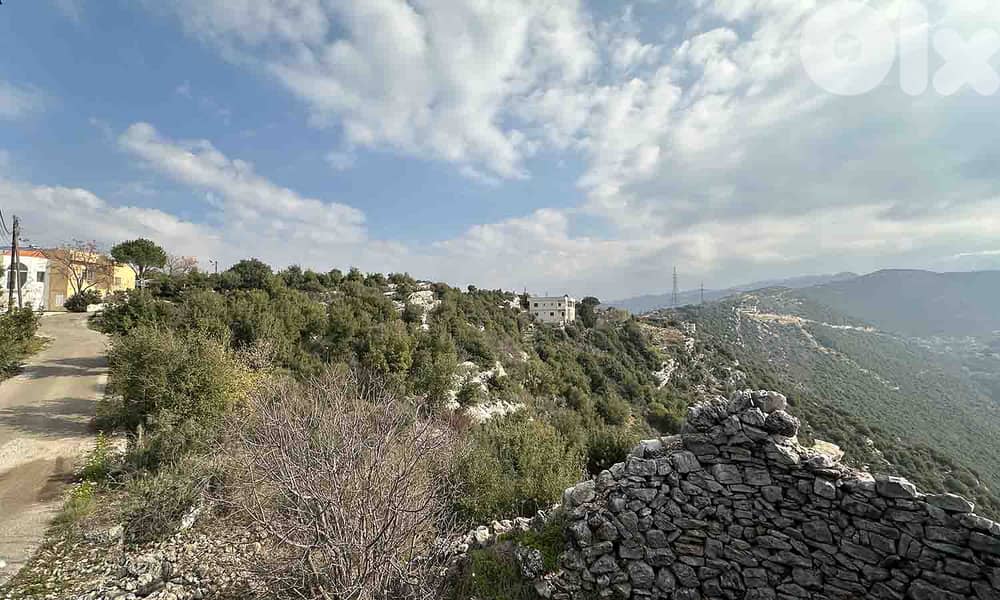 Land In Bejjeh For Sale | 999 SQM Land | أرض للبيع | PLS 26262 3