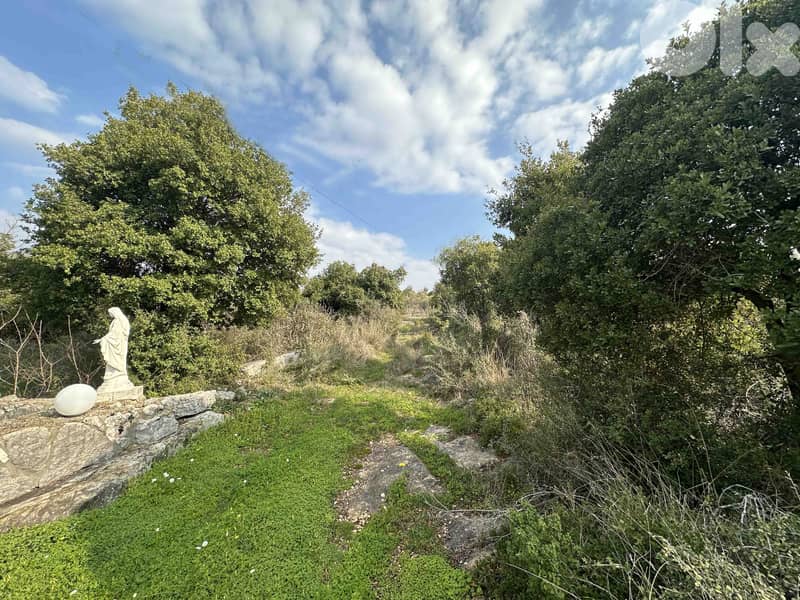 Land In Bejjeh For Sale | 999 SQM Land | أرض للبيع | PLS 26262 4