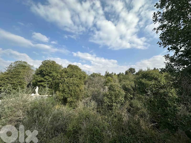 Land In Bejjeh For Sale | 999 SQM Land | أرض للبيع | PLS 26262 5