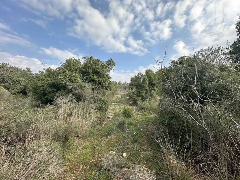 Land In Bejjeh For Sale | 999 SQM Land | أرض للبيع | PLS 26262 6