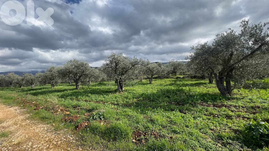 RWB100SN - Land for sale in Kousba el Koura 0
