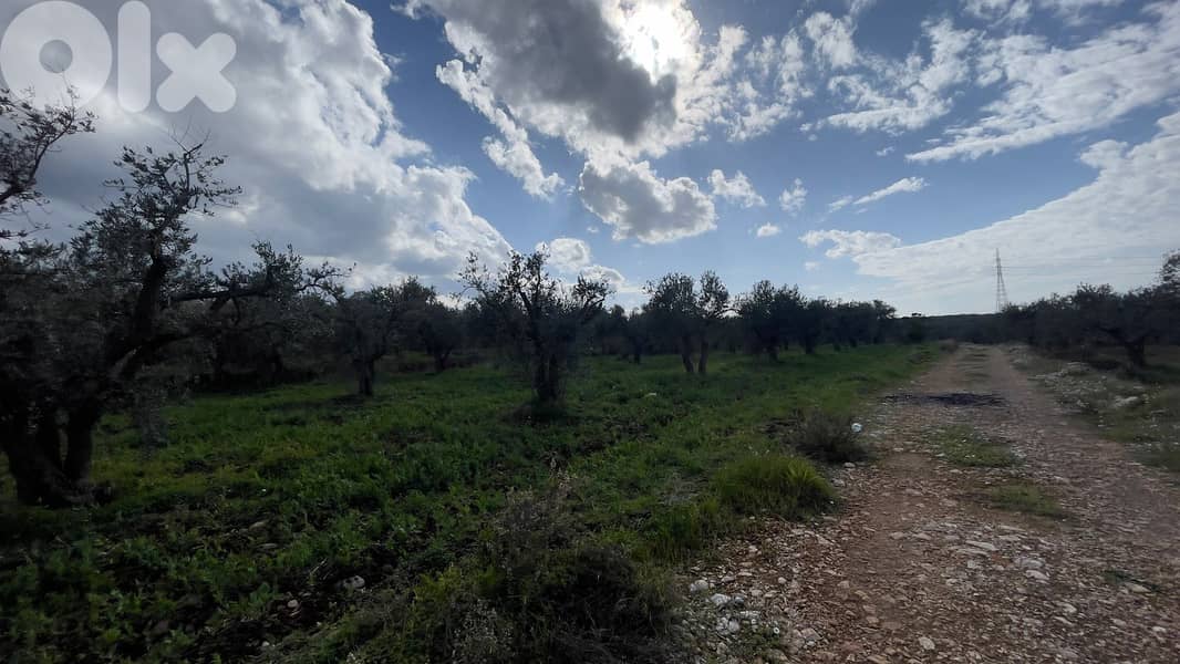 RWB100SN - Land for sale in Kousba el Koura 1
