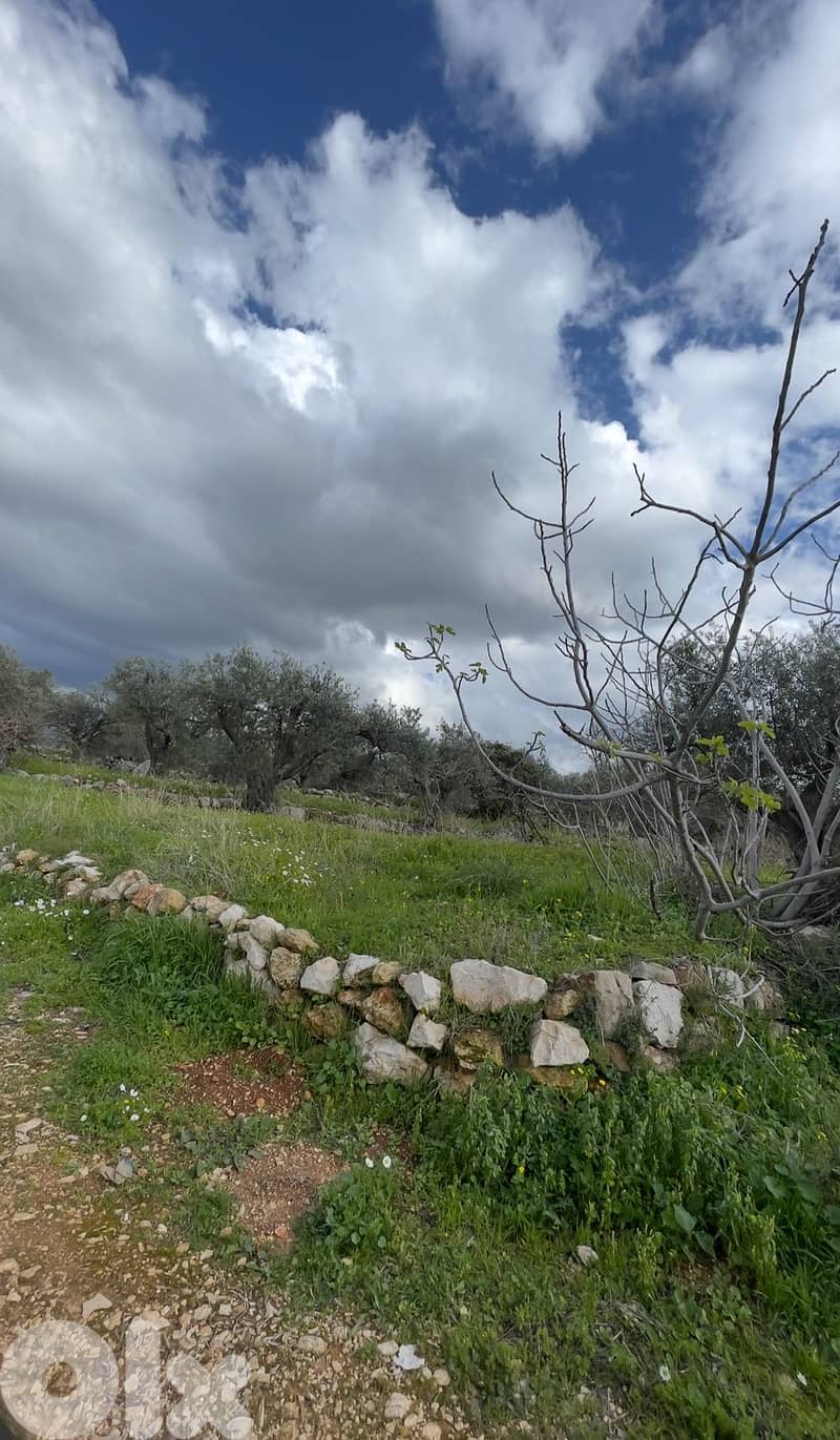 RWB100SN - Land for sale in Kousba el Koura 2
