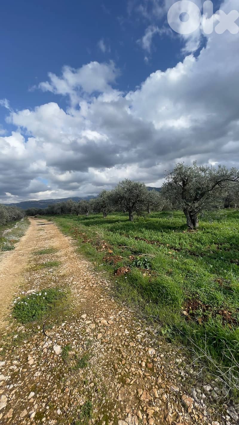 RWB100SN - Land for sale in Kousba el Koura 3