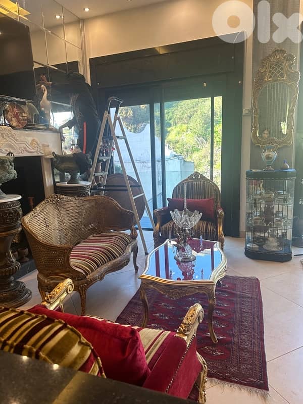 salon auntiqe franci 4