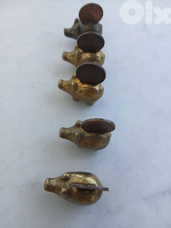 الخنازير الخمسة 0