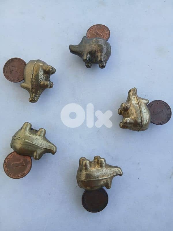 الخنازير الخمسة 1